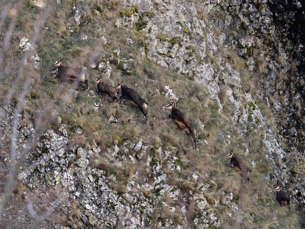 05112025-05 10 25 (10).jpg